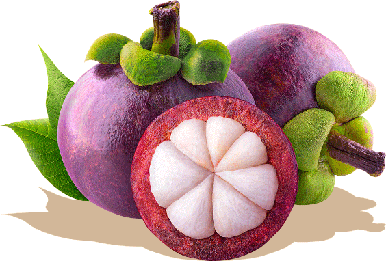 Mangosteen - 250g